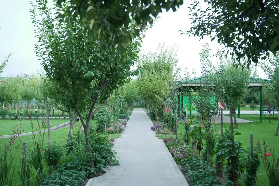 Imagen de muestra · landscaping · 6